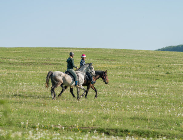 Transylvania On Horseback